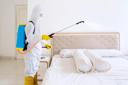 Comment un exterminateur élimine les punaises de lit ?
