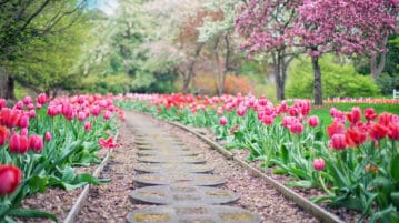 Pourquoi confier l’aménagement de son jardin à un paysagiste ?