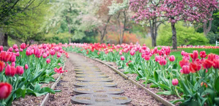 Pourquoi confier l’aménagement de son jardin à un paysagiste ?