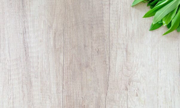 Quel isolant choisir pour la toiture terrasse ?